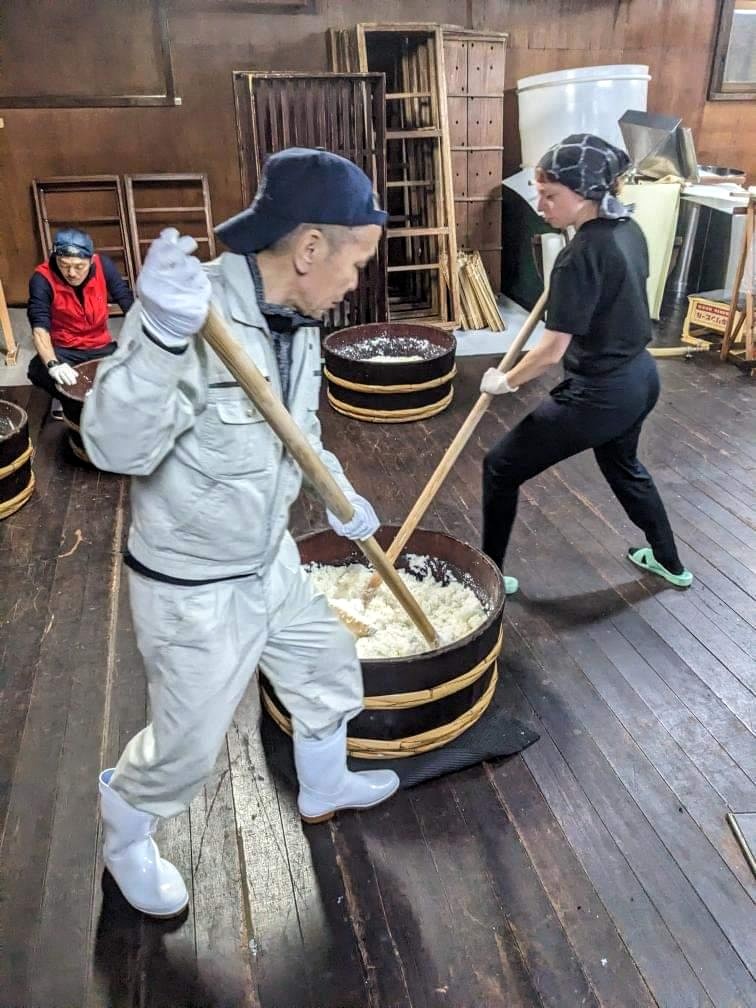 Kimoto e Yamahai, i cugini del sake